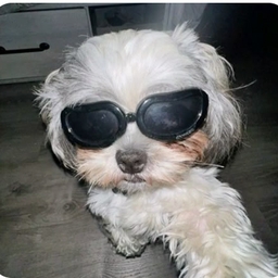 Avatar of user avery_280