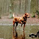 Avatar of user FlyToTheSky