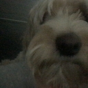 Avatar of user scarygrizzly