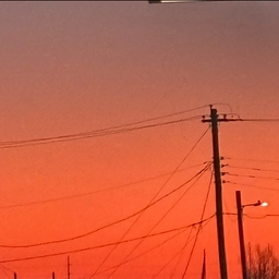 Avatar of user JamyeGail2024