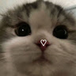 Avatar of user Aneya4eternity