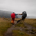 Avatar of user nordicwolf2026