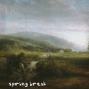 Cover of album spring break by S0LAC3