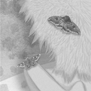 Cover of album SHX WAS AN ANGXL by Jam!e