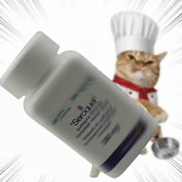 Avatar of user yito ☮