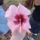 Avatar of user Mla_02