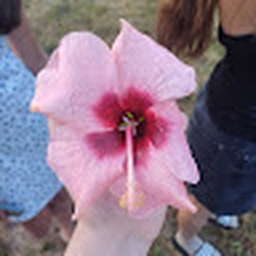 Avatar of user Mla_02