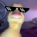 Avatar of user IDKMusicTheory