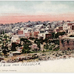 Avatar of user Ambivert505