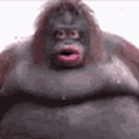 Avatar of user Dawson67667676767