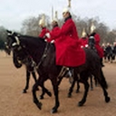 Avatar of user IlanaLaBest