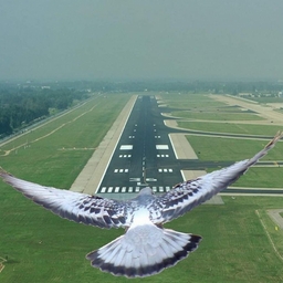 Avatar of user maxslepton