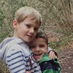 Avatar of user lewislsm