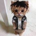 Avatar of user ᏒᎦᏝ