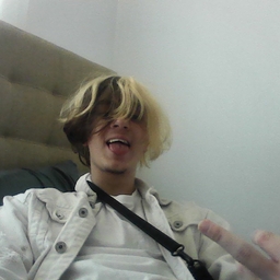 Avatar of user Lil Peeps,jr +