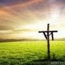 Avatar of user joleendeaver