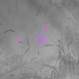 Avatar of user serein8