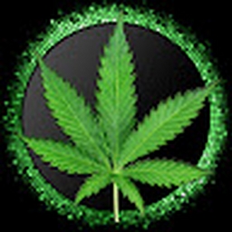 Avatar of user TheHoaX