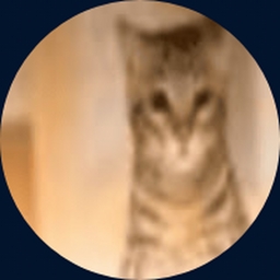 Avatar of user CriyLC