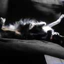 Avatar of user levimadude