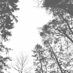 Avatar of user Will123456