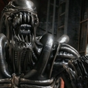 Avatar of user razordracula