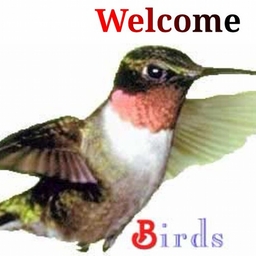 Avatar of user scarylittlecutefella