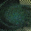 Avatar of user TDSBee