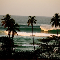 Avatar of user mhhamieh