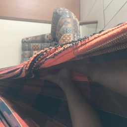 Avatar of user folhetins