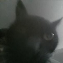 Avatar of user TheSecondbooty