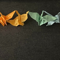 Avatar of user tokshi