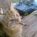 Avatar of user Smillz