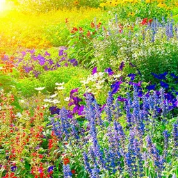 Avatar of user WistyBlooms