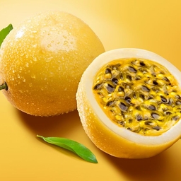 Avatar of user musicmakernoob