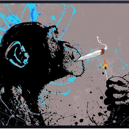 Avatar of user lyftd