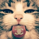 Avatar of user dunix024