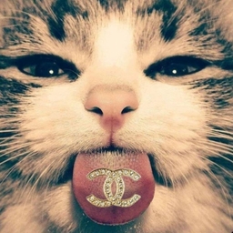 Avatar of user dunix024