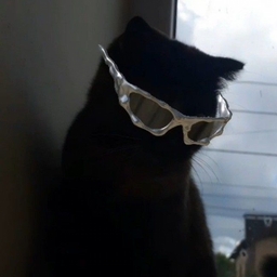 Avatar of user vibezxs