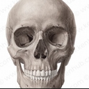 Avatar of user skull54