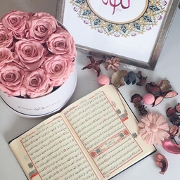 Avatar of user Salma143salma