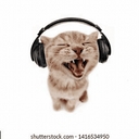 Avatar of user Pandemoniummp3