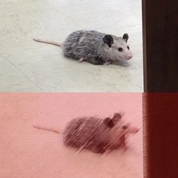 Avatar of user yito ☮