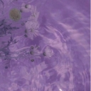 Avatar of user LILSKY2015