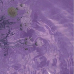 Avatar of user LILSKY2015