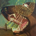 Avatar of user solarxD1j