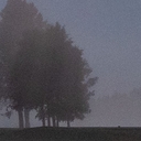 Avatar of user E=MC²