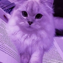 Avatar of user strwberri_dreamz