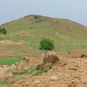 Avatar of user Pop9875t