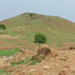 Avatar of user Pop9875t